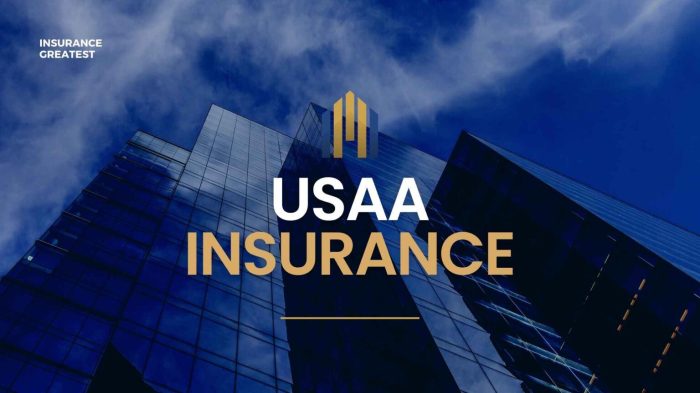 USAA car insurance quote for military families