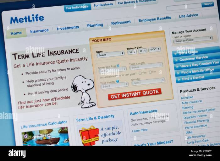 MetLife car insurance quote for leased vehicles