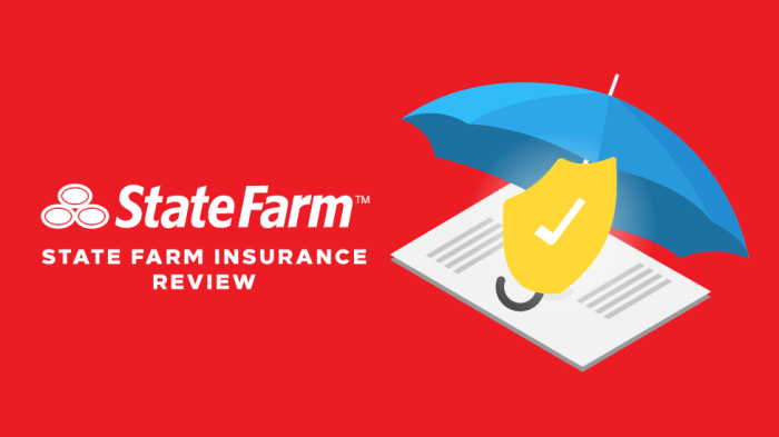 State Farm car insurance quote for students